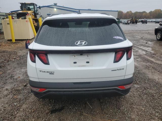 2024 HYUNDAI TUCSON BLU KM8JBCD13RU195077