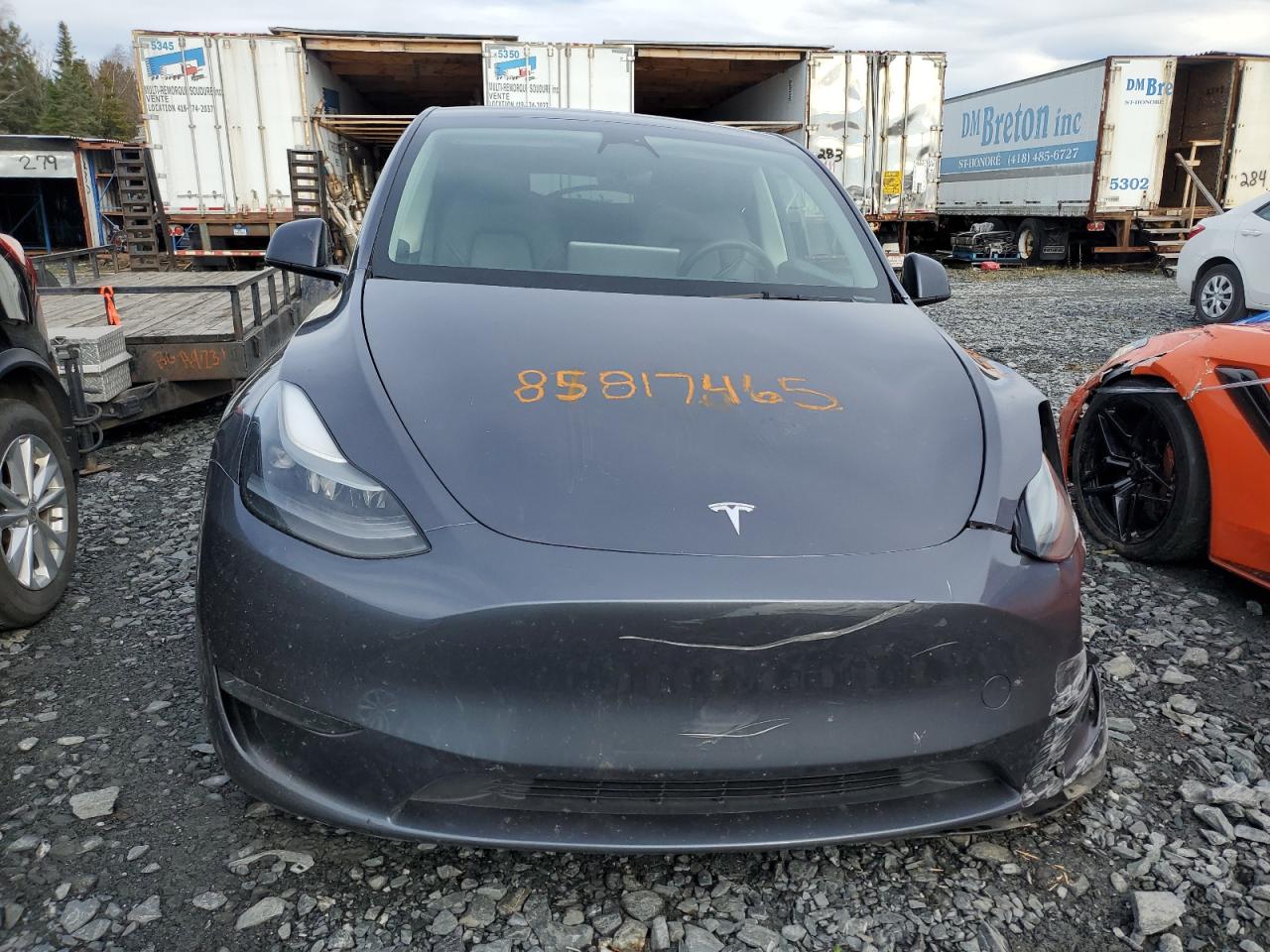 TESLA MODEL Y