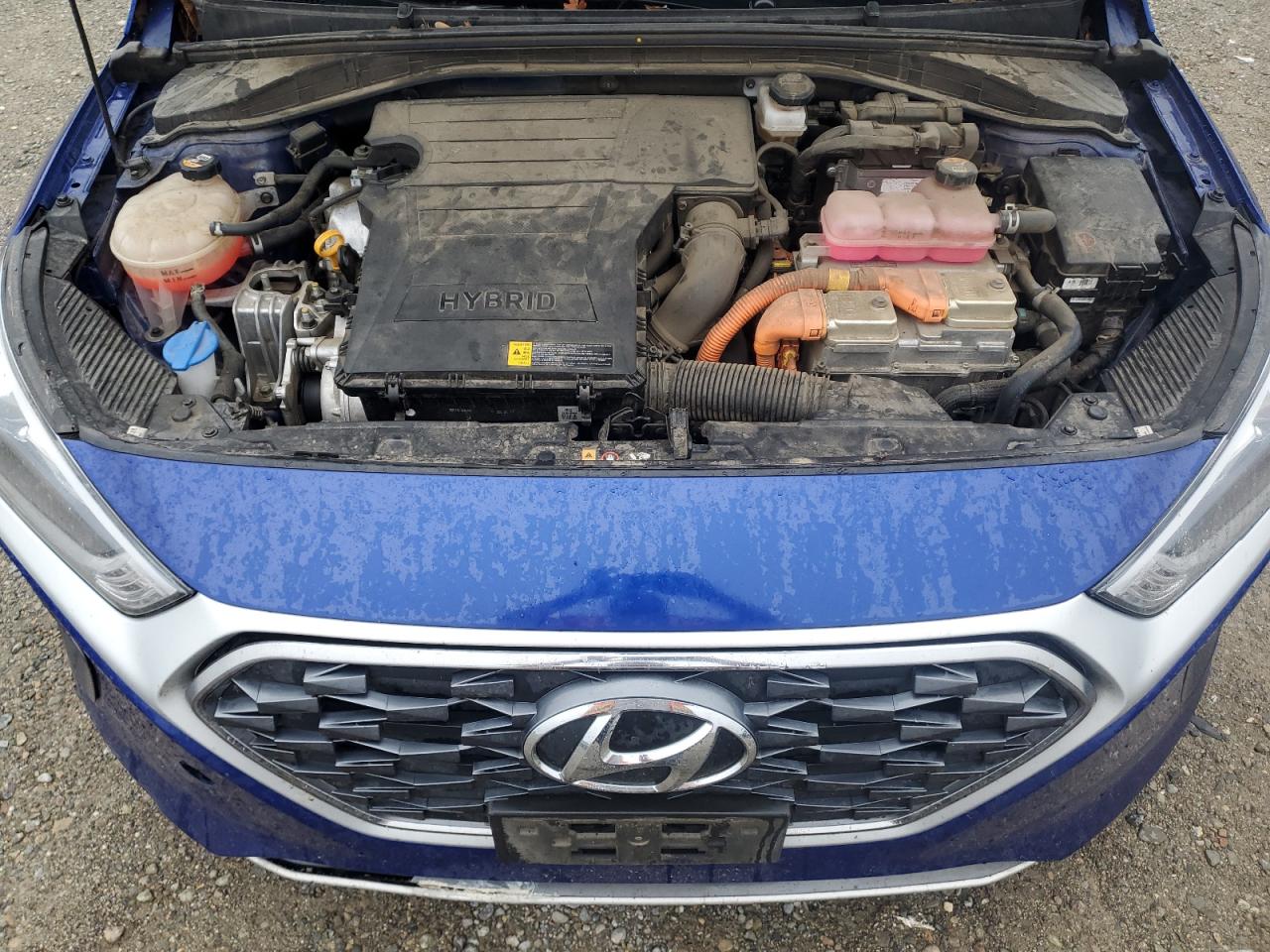 HYUNDAI IONIQ BLUE