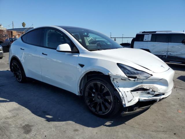 2021 TESLA MODEL Y #3302893906
