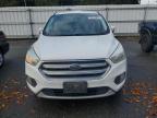 Lot #3296907849 2017 FORD ESCAPE SE