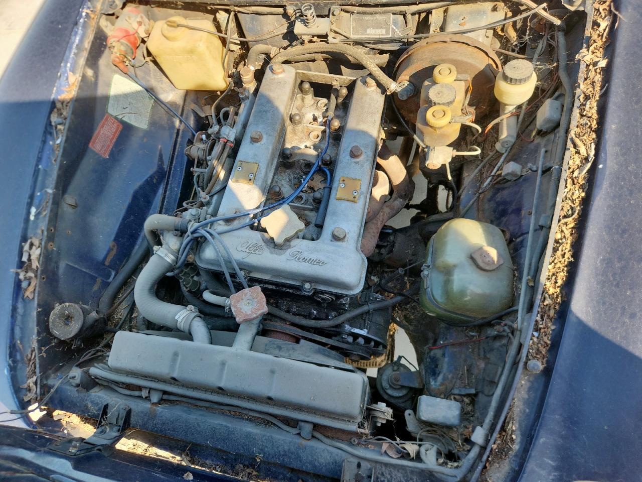 Lot #3261164938 1977 ALFA ROMEO SPIDER