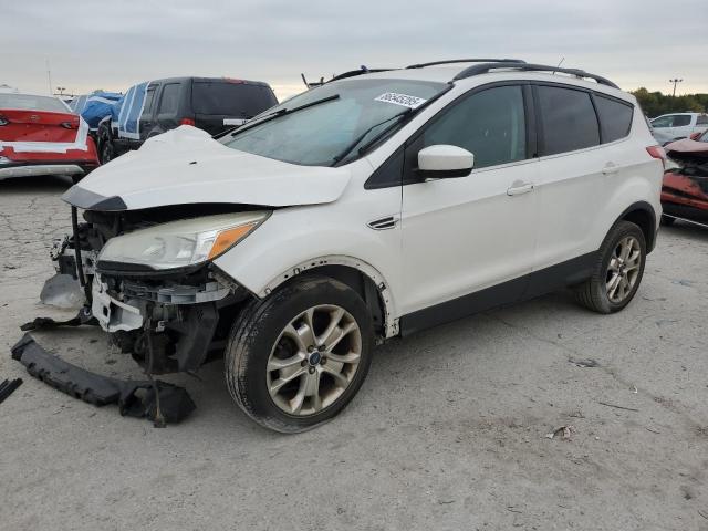 Global Auto Auctions: 2013 FORD ESCAPE SE