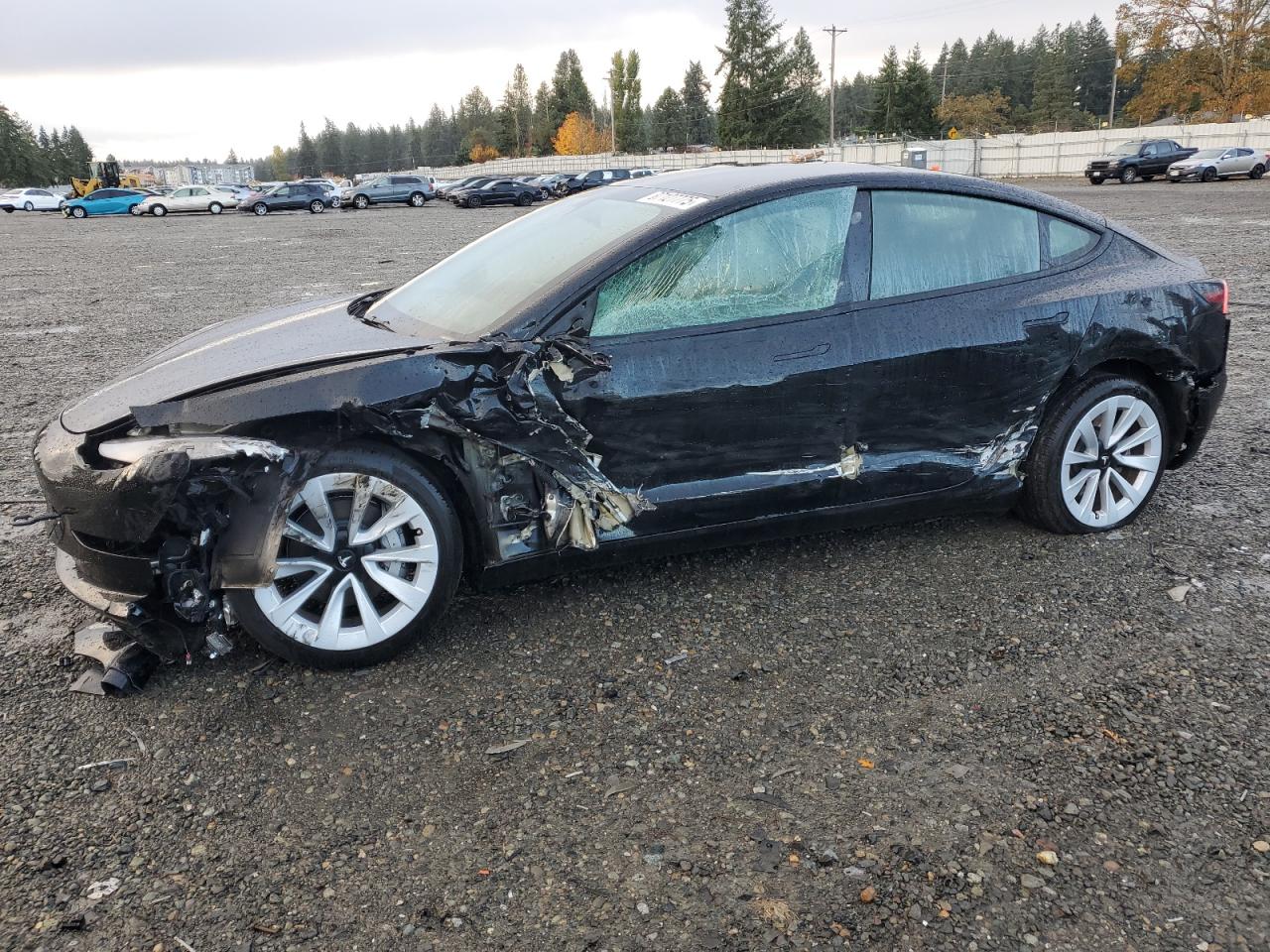 TESLA MODEL 3