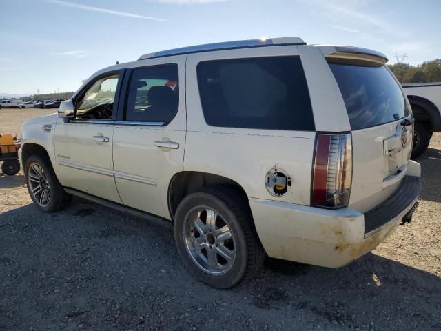 2013 CADILLAC ESCALADE P - 1GYS4CEFXDR345513