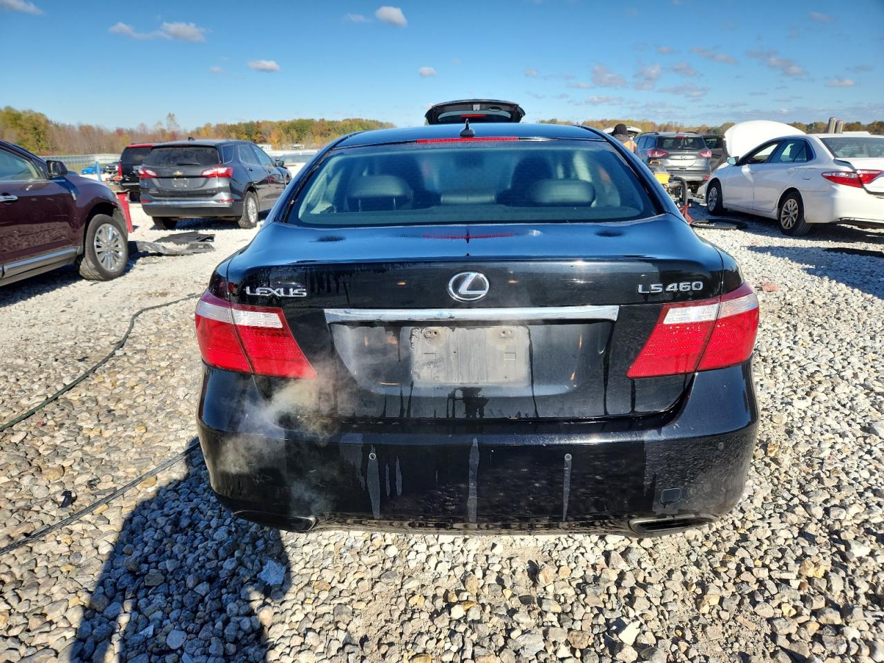 Lot #3286629887 2008 LEXUS LS 460