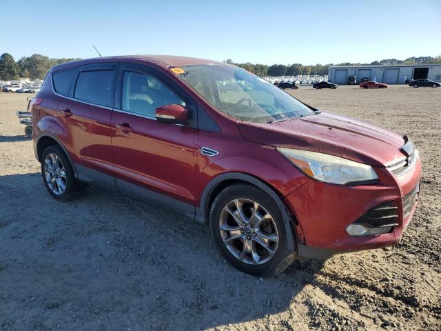 Global Auto Auctions: 2013 FORD ESCAPE SEL