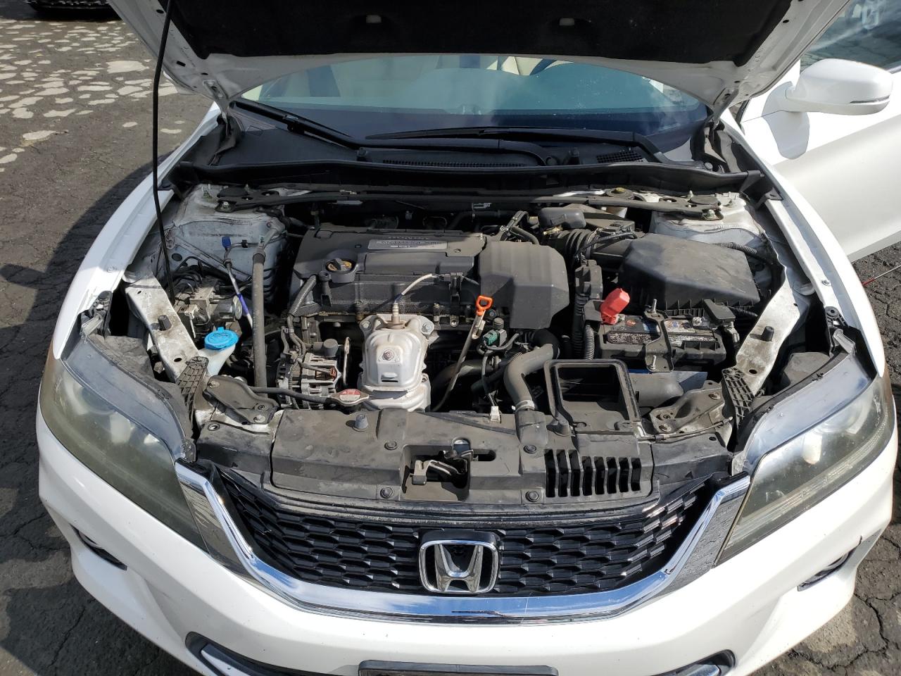 Lot #3317087983 2013 HONDA ACCORD EXL