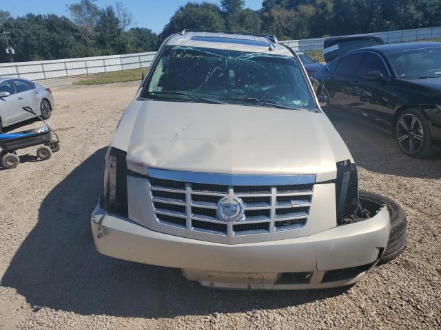 2009 CADILLAC ESCALADE L #3303981735