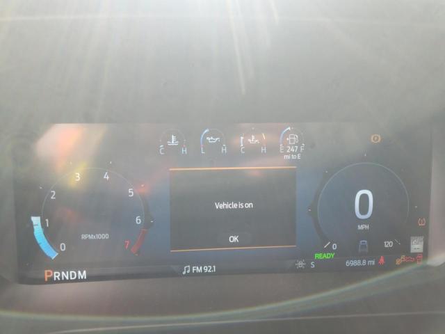 2024 FORD F150 LARIA #3286549170