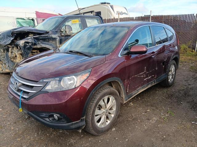 HONDA CR-V EX
