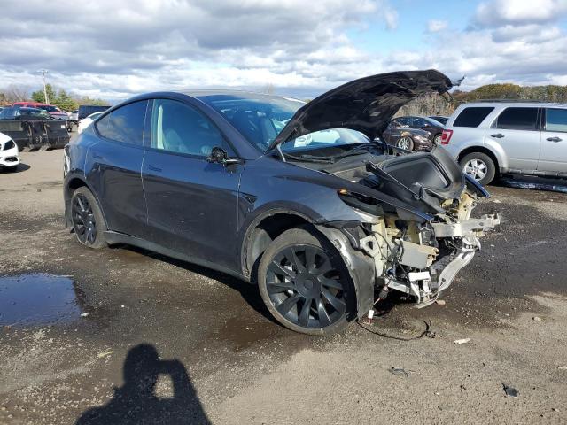 2023 TESLA MODEL Y #3303570950