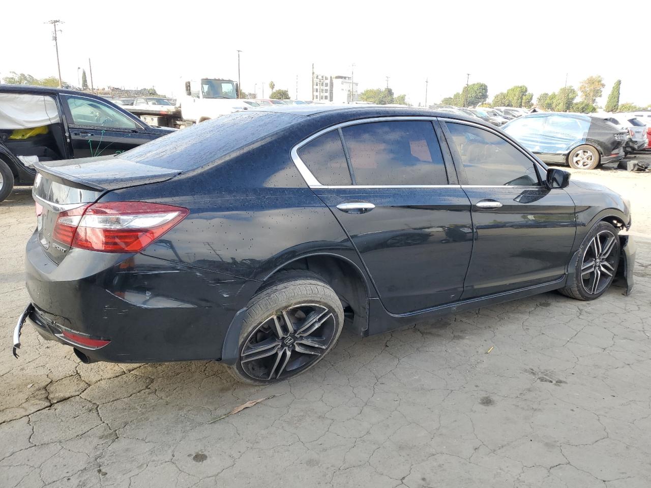 Lot #3297036487 2017 HONDA ACCORD SPO