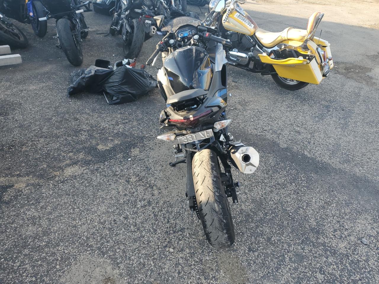 Lot #3309620602 2025 KAWASAKI EX500