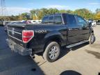 Lot #3292339302 2014 FORD F150 SUPERCREW