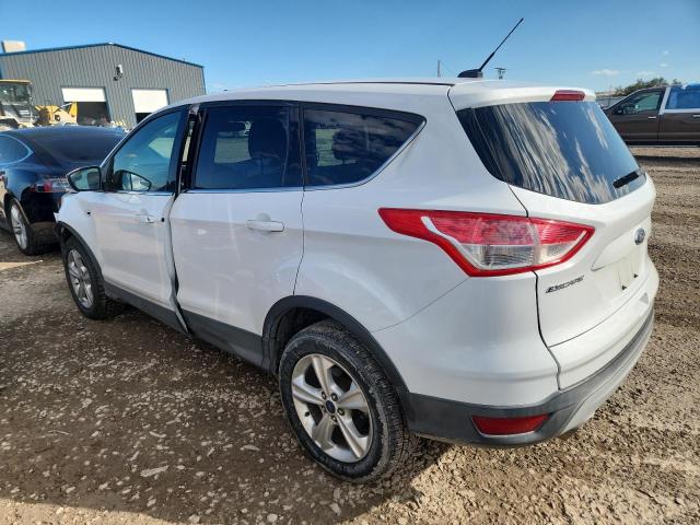 2013 FORD ESCAPE SE - 1FMCU0GX0DUD87759