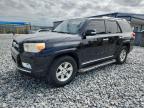 Lot #3312709304 2010 TOYOTA 4RUNNER SR