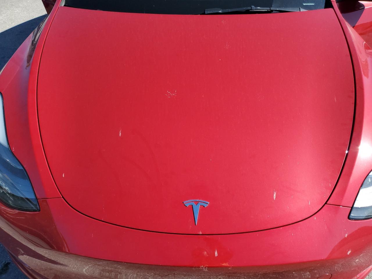 Lot #3301740334 2023 TESLA MODEL Y