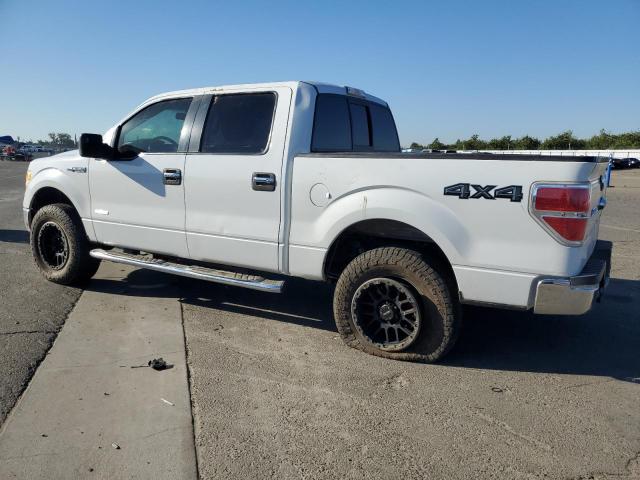 2013 FORD F150 SUPER - 1FTFW1ET4DKD48542