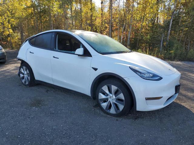 2021 TESLA MODEL Y - 5YJYGAEE9MF285538