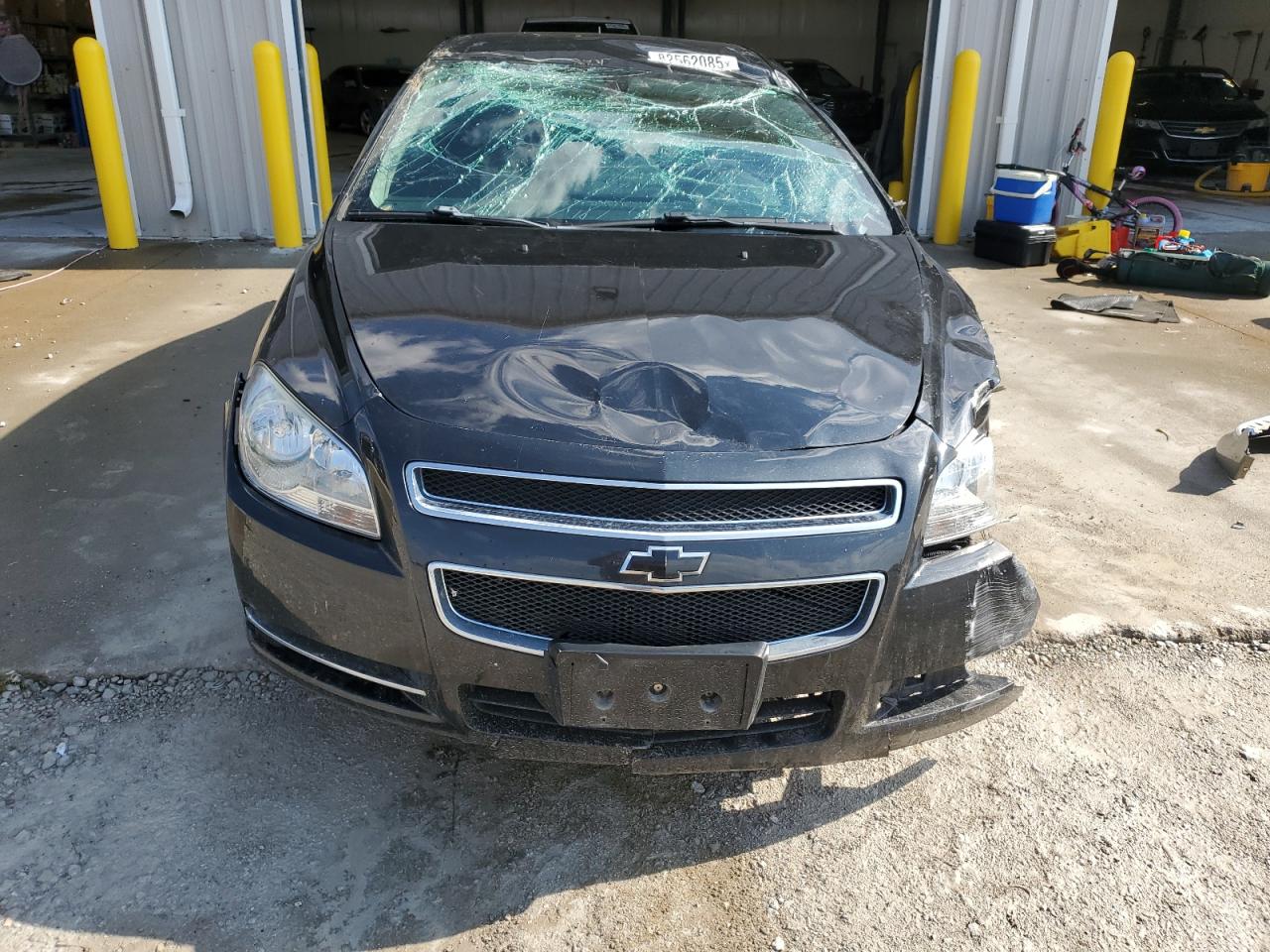 CHEVROLET MALIBU 1LT