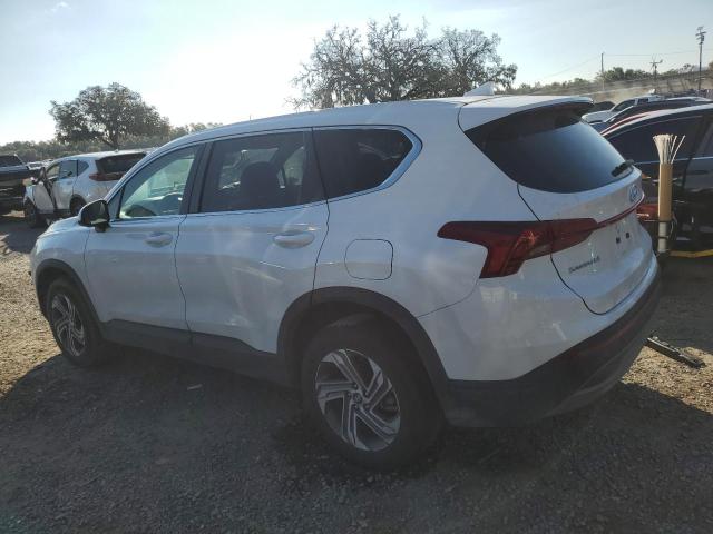 2023 HYUNDAI SANTA FE S #3297056537