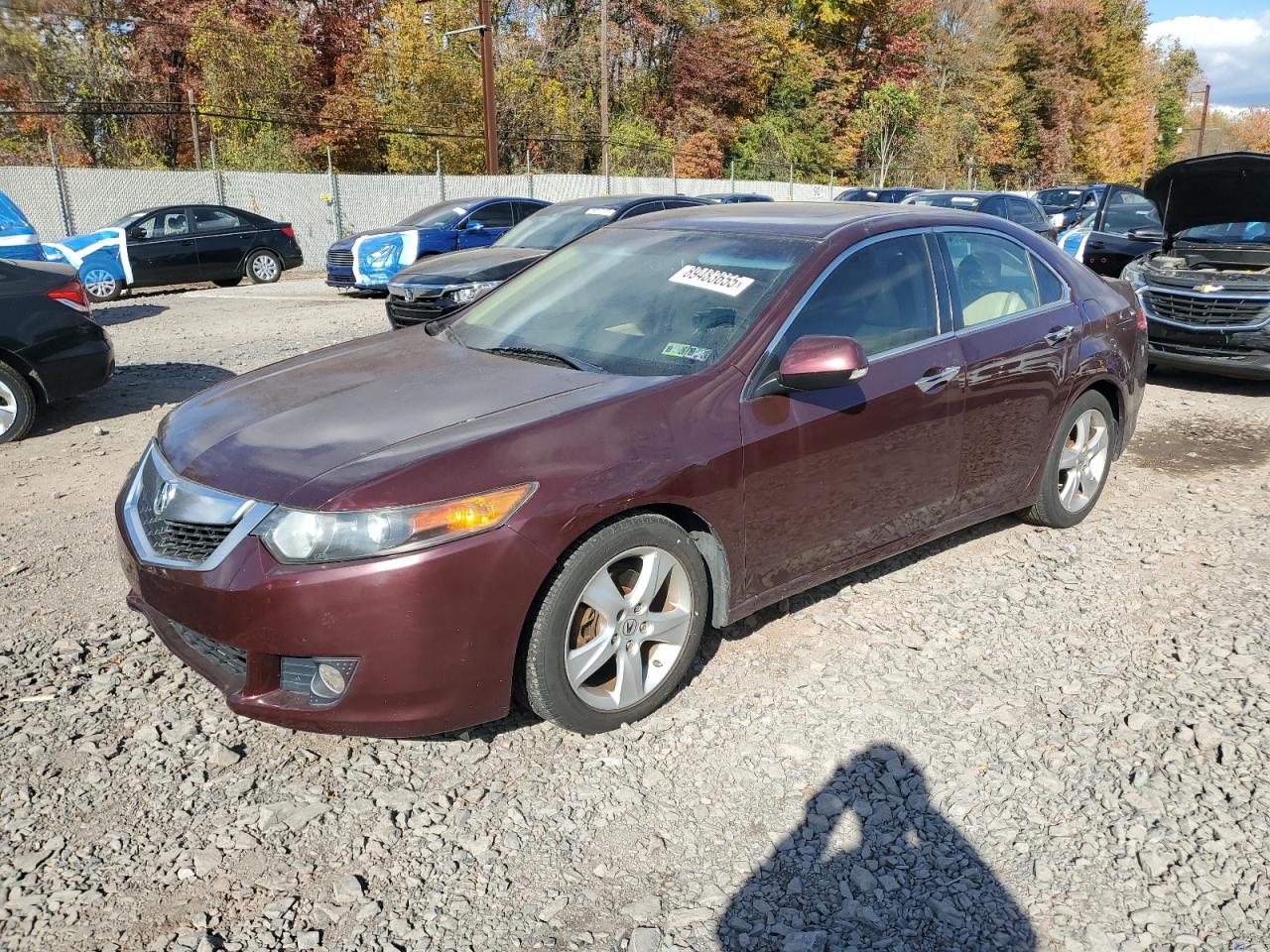 ACURA TSX