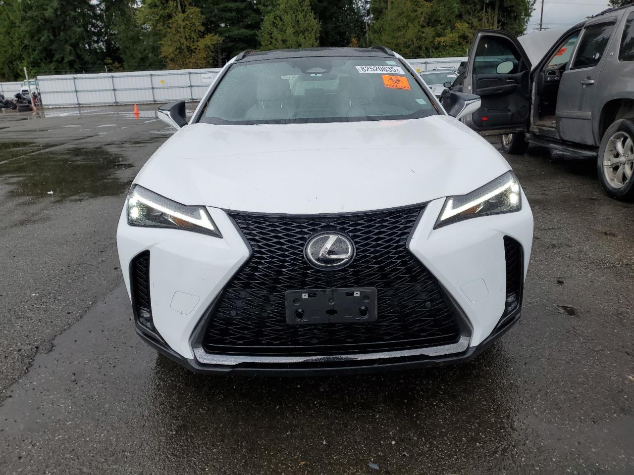 LEXUS UX 300H BASE
