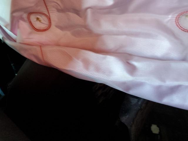 2024 KIA K5 EX #3296245453