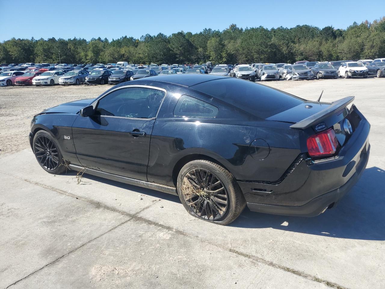 Lot #3308240159 2011 FORD MUSTANG GT