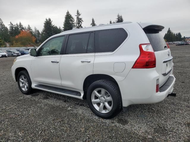 2011 LEXUS GX 460 #3276397807
