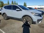 Lot #3309402979 2020 HONDA CR-V EX