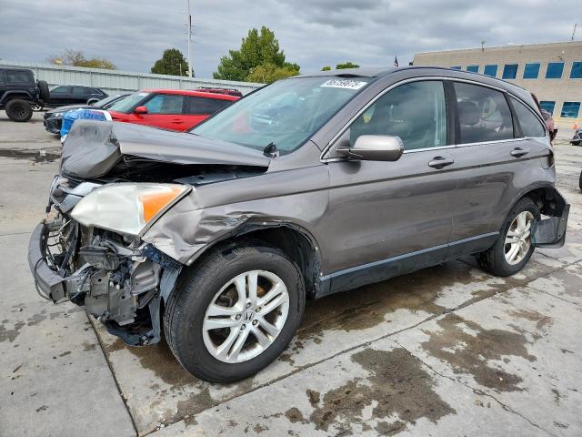 Global Auto Auctions: 2010 HONDA CR-V EXL