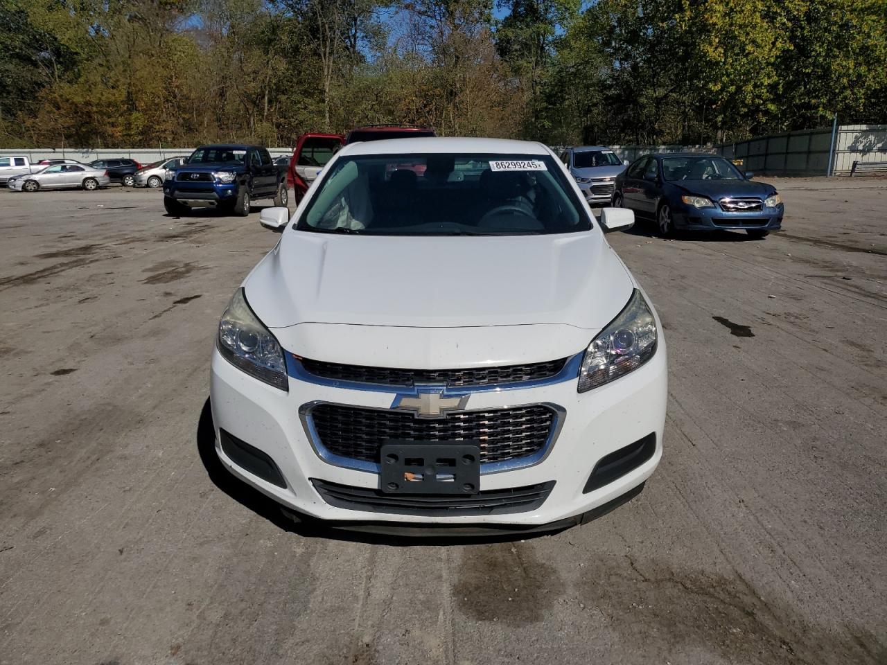 Lot #3301893424 2015 CHEVROLET MALIBU 1LT