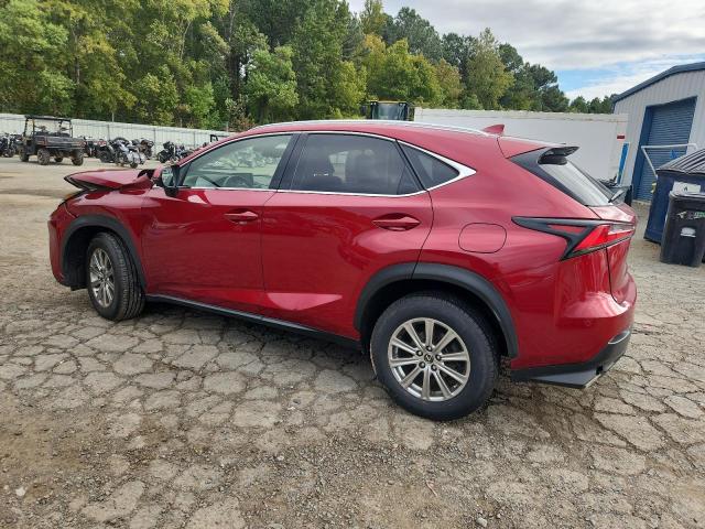 2020 LEXUS NX 300 BAS #3301793338