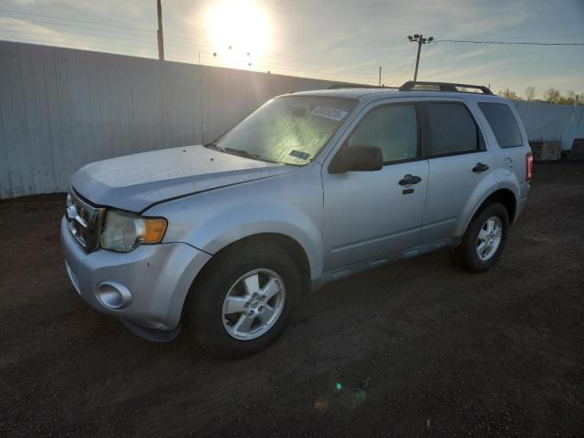 Global Auto Auctions: 2011 FORD ESCAPE XLT