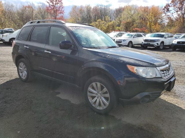 2013 SUBARU FORESTER 2 - JF2SHADC7DH428197