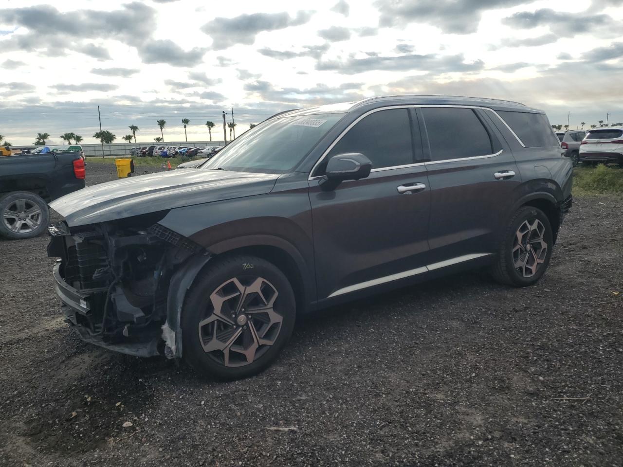 HYUNDAI PALISADE CALLIGRAPHY