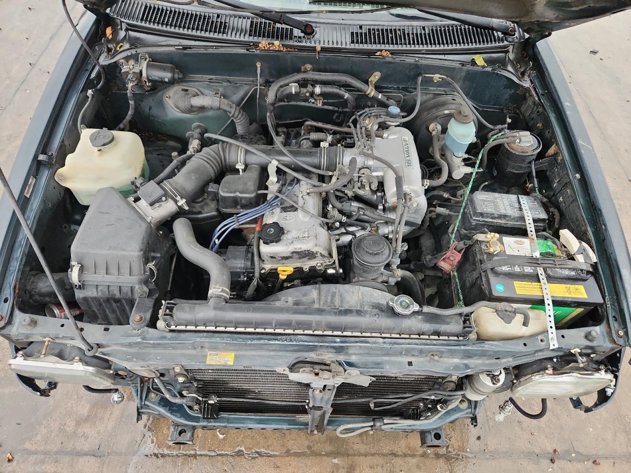 Lot #3274643789 1996 TOYOTA TACOMA