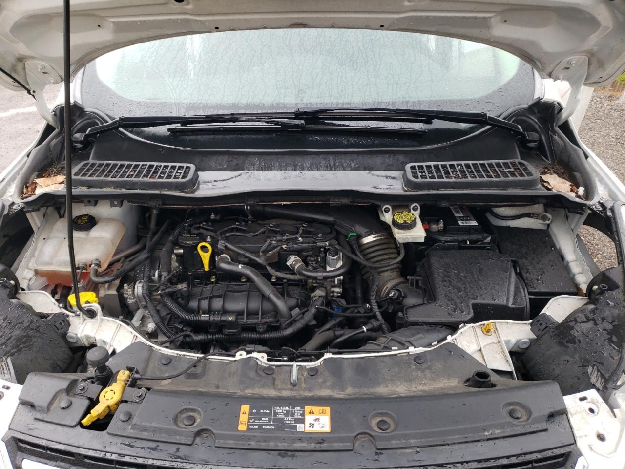 FORD ESCAPE TITANIUM