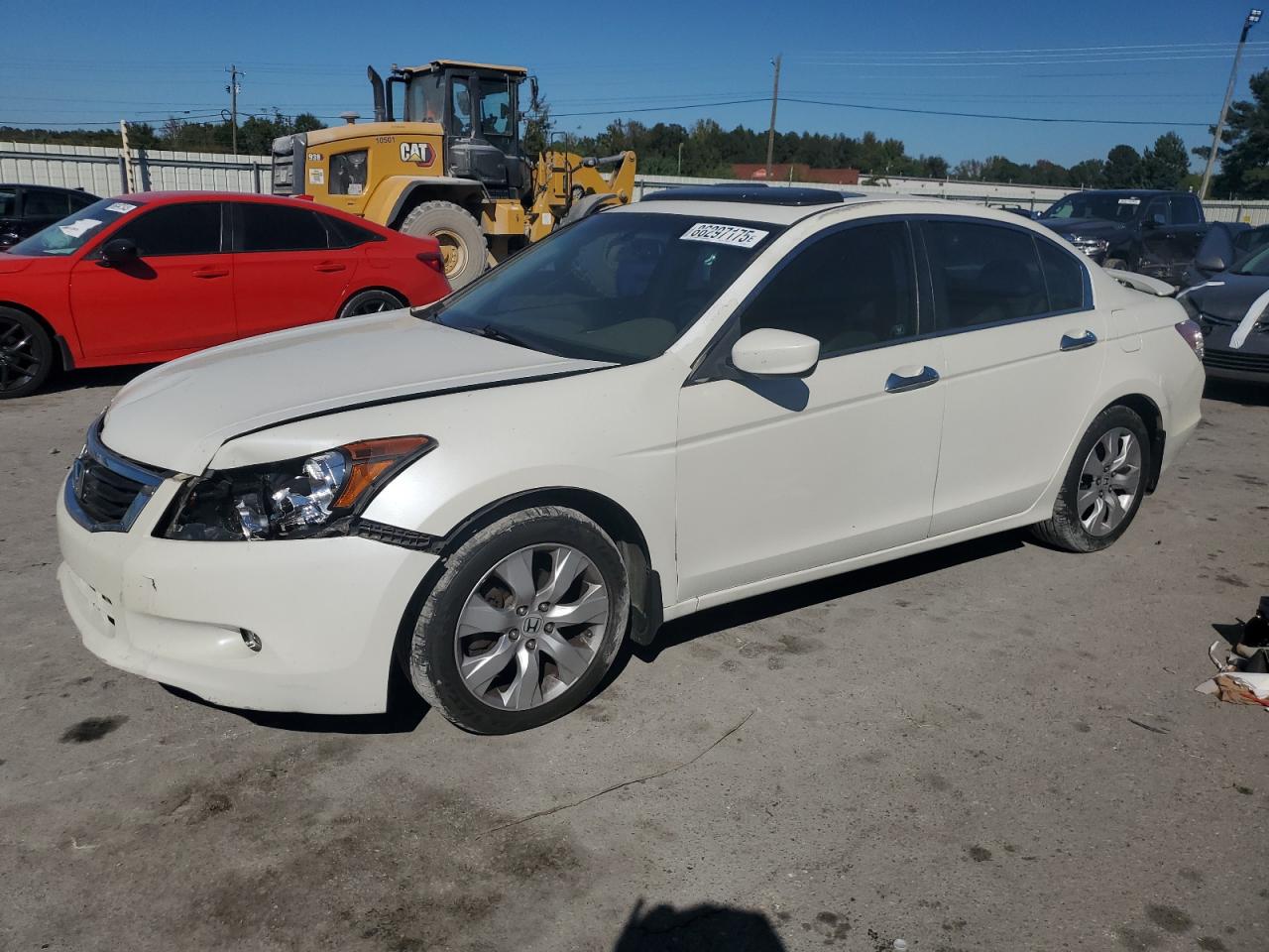 Lot #3292388263 2008 HONDA ACCORD EXL