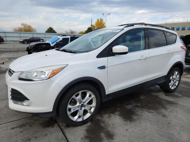 Global Auto Auctions: 2013 FORD ESCAPE SE
