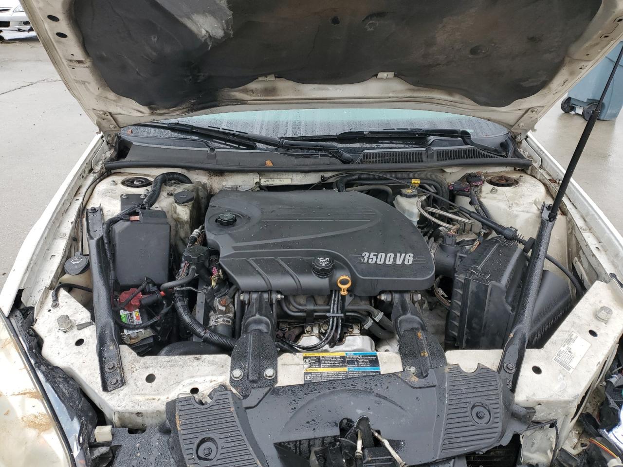 Lot #3290061273 2009 CHEVROLET IMPALA LS