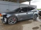Lot #3309384986 2023 AUDI SQ7 PREMIU