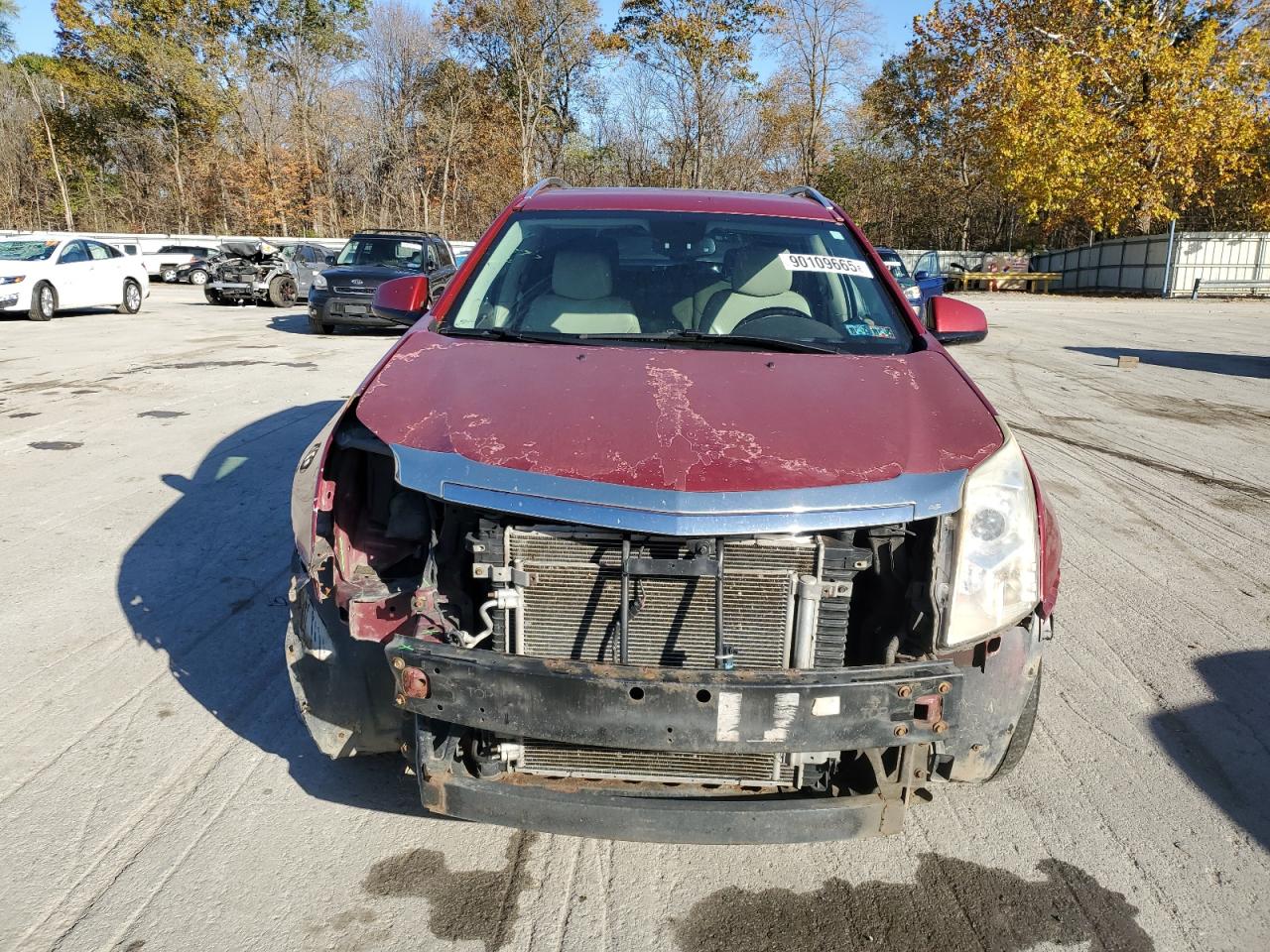 CADILLAC SRX LUXURY COLLECTION