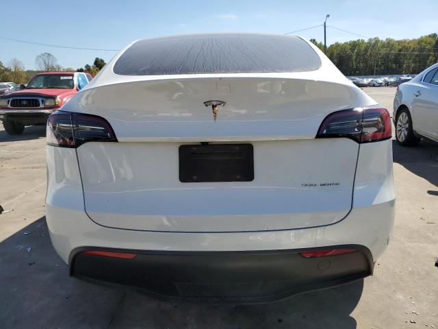 2023 TESLA MODEL Y #3315970133