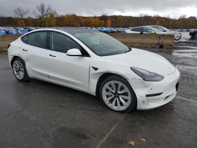 2023 TESLA MODEL 3 #3315884085
