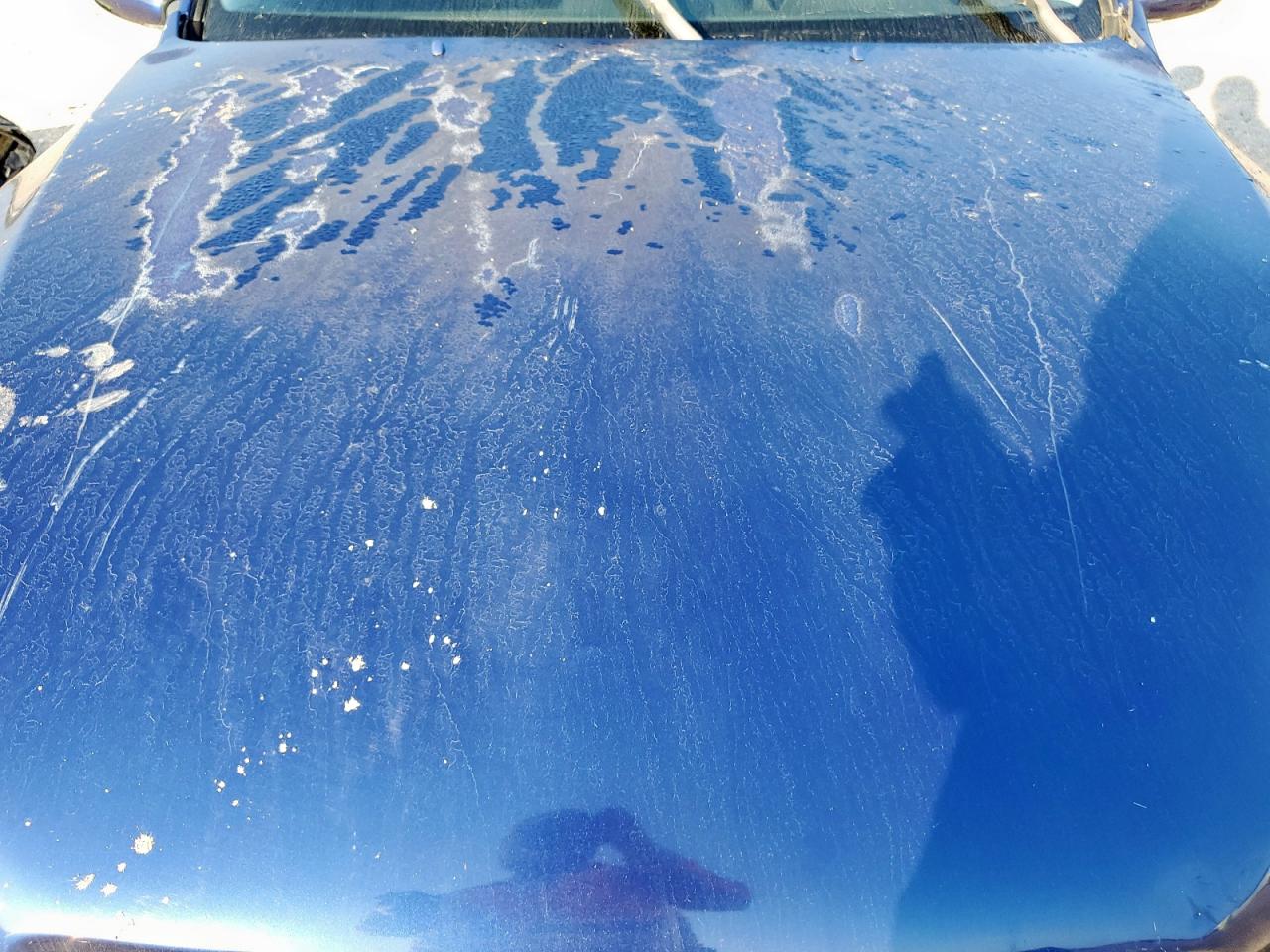 Lot #3311823191 2003 LEXUS IS 300