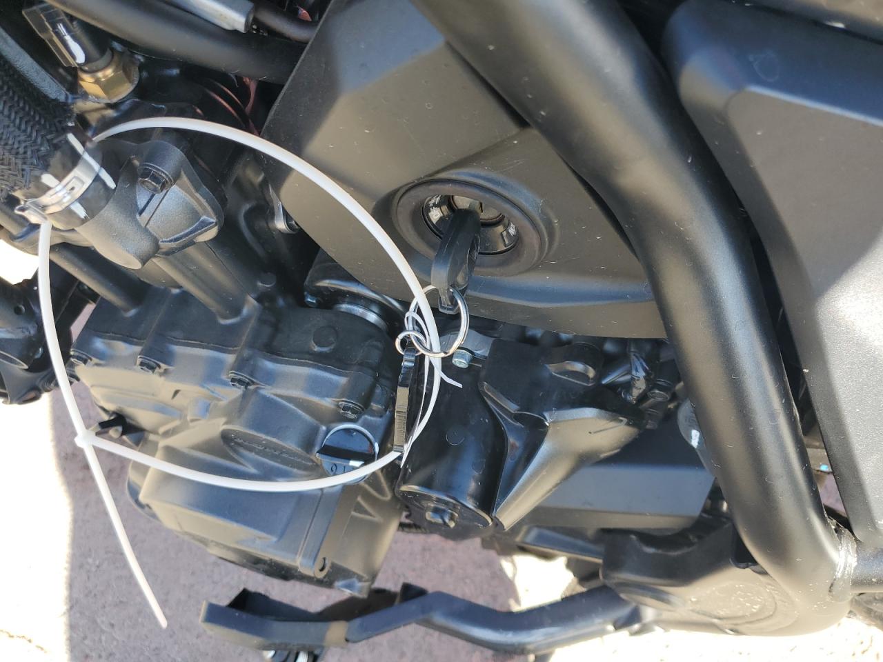 Lot #3316076229 2024 HONDA CMX1100 T