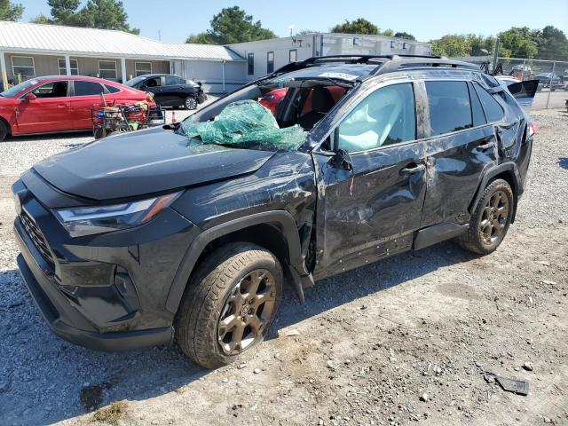 2024 TOYOTA RAV4 WOODL 2T3UWRFV0RW196781